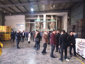 50多家饲料企业来厂参观交流,聚焦农科 粉包粒 教槽料
