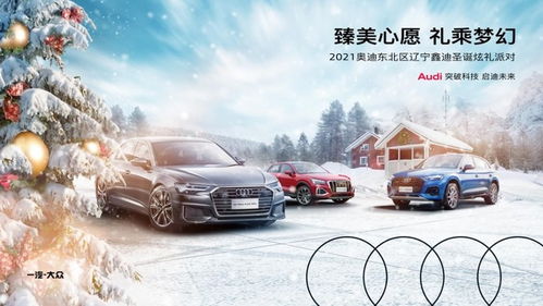 臻美心愿 辽宁鑫迪圣诞派对欢乐开启