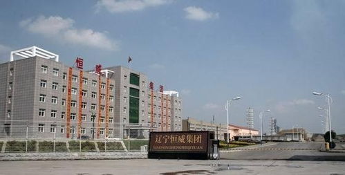 辽宁东鑫水泥 集团 