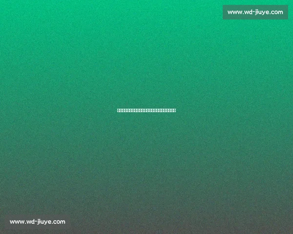 勒沃库森敲定宽萨转会，独立运作避开维尔茨交易影响